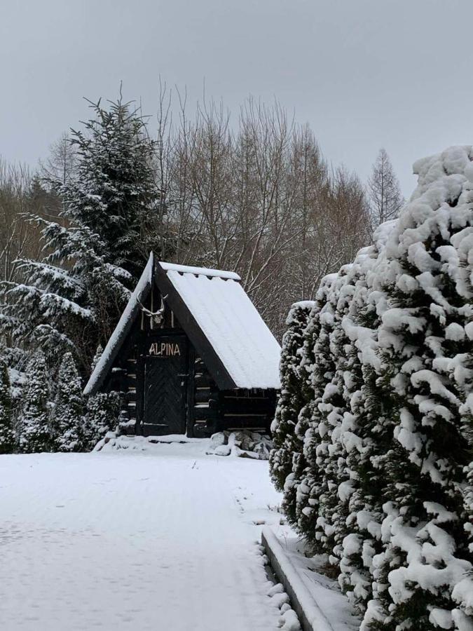 Alpina Hotel Krynica Zdroj Luaran gambar